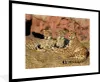 MuchoWow® Gerahmtes Poster Gepardenmutter und -junge 90x60 Produktbild-Vorschau 1