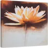 Leinwandbild seerosenblüte 30x30 cm Feeby beige wandbild Produktbild-Vorschau 1