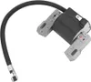 Zapalovací cívka Vhodná pro Briggs & Stratton 691060 592846 Náhled obrázku produktu 6