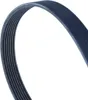 Continental ContiTech 7PK1570 Keilrippenriemen für NISSAN Produktbild-Vorschau 3