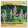 Samenliebe  Muskatellersalbei Samen | Heilpflanze - Produktbild-Vorschau 1