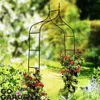 Pergola da giardino in metallo per fiori, rose, piante Anteprima dell’immagine prodotto 5