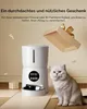Faroro 4L Voerautomaat voor Katten, Kattenvoerautomaat met Productafbeelding-voorbeeld 8