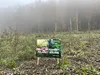 Ultrament Haftgrund Eco, Haftvermittler, für Innen, 500 ml Produktbild-Vorschau 7