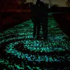 A couple stands on a path illuminated by glowing stones. Produktbild-Vorschau