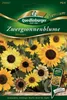 Quedlinburger Saatgut - Zwerg-Sonnenblumen Ministars - Produktbild-Vorschau 1