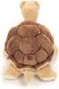 Schildkröte, ca. 20 cm, 1Stück Produktbild-Vorschau 4
