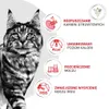 Royal Canin Veterinary Diet Feline Urinary S/O Moderate Anteprima dell’immagine prodotto 6