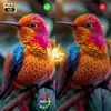 A split image showing two views of a colorful hummingbird, with one side marked as 'FULL HD' and a green checkmark, and the other side marked with a red 'X'. The 'VS' symbol is in the center. The left side also shows a color spectrum with '800:1'. Produktbild-Vorschau