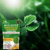 EcoDeco Mikroklee Samen 500 g, Weißklee Rasensamen, Produktbild-Vorschau 2