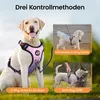 LED Hundegeschirr aufladbar reflektierend, verstellbar mit Produktbild-Vorschau 3