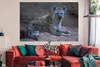 MuchoWow® Poster Hyäne - Jungtier - Fels 180x120 cm - Produktbild-Vorschau 2