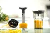 Ananasschneider PROFESSIONAL PLUS, inkl. Stückchenschneider Produktbild-Vorschau 2