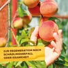 Solabiol® Bennnessel Sud für schädlingsanfällige Pflanzen 1 Produktbild-Vorschau 10
