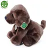 Peluche Labrador Retriever 26 Cm Ecologico Anteprima dell’immagine prodotto 7