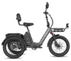 FAFREES F20 Mate II Rower elektryczny - Silnik 250W Podgląd zdjęcia produktu 4