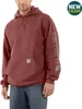 Carhartt SLEEVE LOGO HOODED SWEATSHIRT K288, barva:heather Náhled obrázku produktu 10