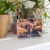 HMF Acryl Tischaufsteller DIN A6, Doppelseitiger T-Ständer Produktbild-Vorschau 10
