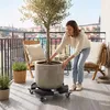 Roulette pour plantes ROSEJANE, réglable en hauteur, Voir les images du produit 9