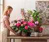 Dehner Traubenorchidee, üppige pinke Blüten, ca. 40-50 cm, Produktbild-Vorschau 3