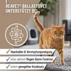 REAVET BallastoVET für Katzen 50g - schnelle Unterstützung Produktbild-Vorschau 2