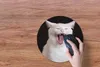MuchoWow® Mauspad Mousepad Gaffende weiße Katze 30x30 cm - Produktbild-Vorschau 3