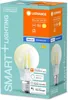 Osram SMART+ Filament Classic Dimmable, Intelligentes Produktbild-Vorschau 14