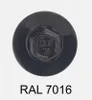 A close-up view of a dark gray screw head with a hexagonal socket, labeled with 'GT' and 'W'. Below the screw, the text 'RAL 7016' is displayed. Anteprima dell’immagine prodotto
