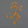 artplants.de Textilblume Tweedia solanoides Pallas, orange, Produktbild-Vorschau 1