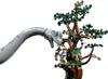 La découverte du brachiosaure Voir les images du produit 14