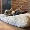 4L Textil Polštár pro psa MOLLY (80x60 cm, béžový) Náhled obrázku produktu 12