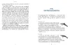 Wir Wale Produktbild-Vorschau 8