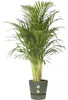 Pflanztopf Elho Greenville Kunststoff Ø 40 cm H 36 cm Produktbild-Vorschau 2
