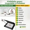 Insekten Klebefalle mit Pheromon -5x Fallen- Chemiefreies Produktbild-Vorschau 2