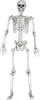 Realistický veľký kostlivec 170 cm - tmavá halloweenska Náhľad obrázku produktu 9