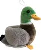 DUBI PLUSH Ziki Ente 14cm 30924 Produktbild-Vorschau 1