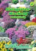 Steingarten Mischung  | Blumensamenmischung von N.L. Produktbild-Vorschau 1