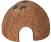 Mezzo guscio di cocco Anteprima dell’immagine prodotto 3