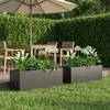vidaXL Jardinières pour plantes, lot de 2, noir, 100 x 30 x Voir les images du produit 2