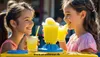 Aromio Slush Eis Pulver 48 g* 5 Stück | Ananas| Konzentrat Produktbild-Vorschau 3