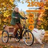 Draixcor M300 E-Citybike Elektro-Dreirad 24 Zoll, 250W Produktbild-Vorschau 3