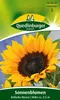Sonnenblume, Einfache Riesen Produktbild-Vorschau 1