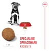 Royal Canin Maxi Puppy, Welpe, Groß (26-44 kg), Reis, Produktbild-Vorschau 5