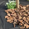 A pile of bark mulch is spread around the base of a tree, with snowdrop flowers growing nearby, all on a black landscape fabric. Produktbild-Vorschau