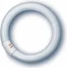 Osram L 22 W/865 G10Q, 22 W, 1300 lm Produktbild-Vorschau 2