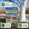 Schacht Weißanstrich für Obstbäume 1 kg Produktbild-Vorschau 3
