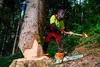 KOX Schnittschutzhose Stretch Elch 3.0 Rot/Gelb Größe 110 | Produktbild-Vorschau 2