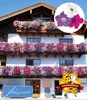 BALDUR Garten 3er Hänge-Petunien-Mix 'AlpeTunia®', Pflanzen Produktbild-Vorschau 1