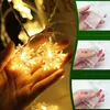 A person holding snowflake-shaped string lights. Produktbild-Vorschau