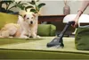 A person is vacuuming a green sofa with a dog lying on it. Náhled obrázku produktu